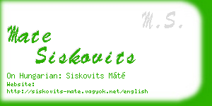mate siskovits business card